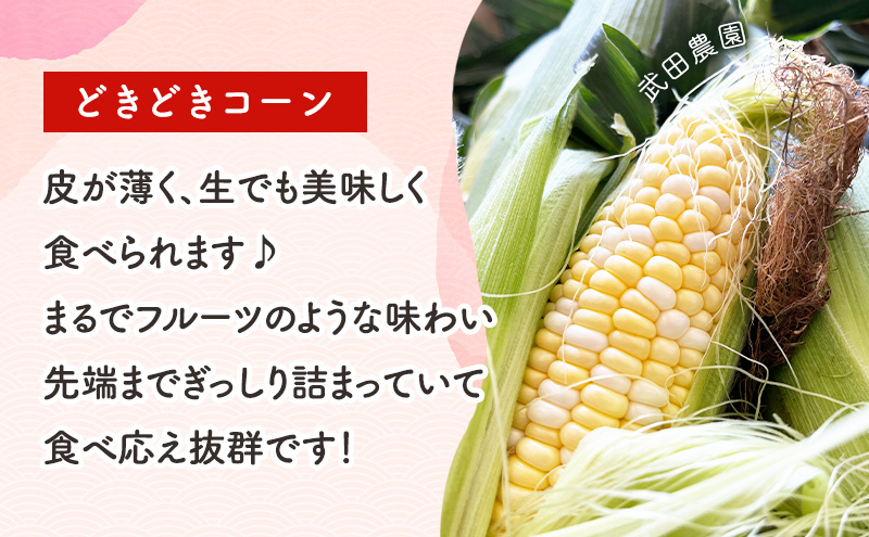 ［武田農園とれたて直送］スイートコーン どきどきコーン 2L 20本 北海道 富良野産 ( とうもろこし 野菜 新鮮 とうきび 甘い 産地直送 先行予約 限定 ）