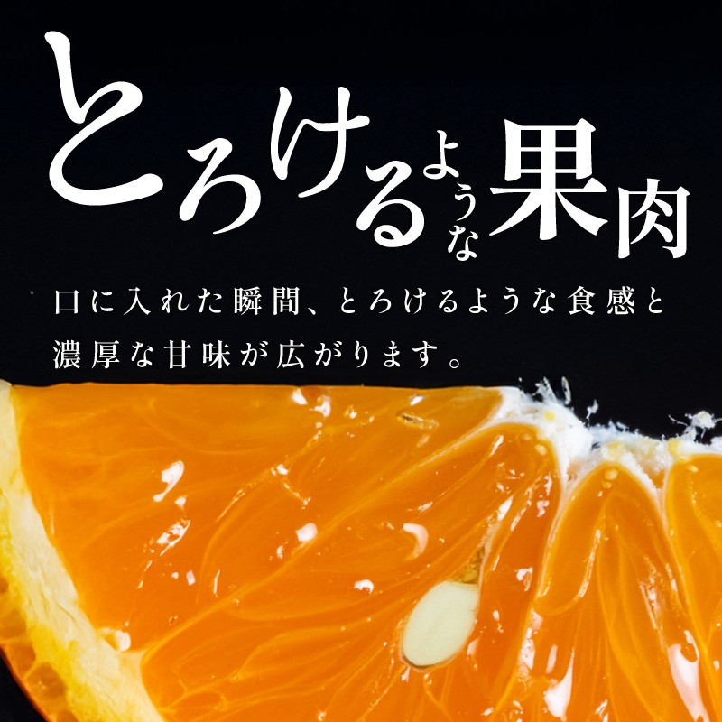【2027年発送 先行予約品】