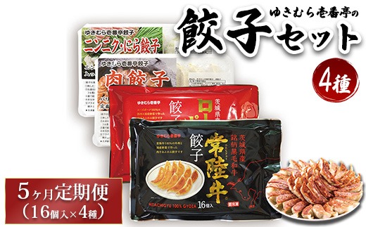 【定期便5ヶ月】ゆきむら壱番亭の4種の餃子セット※離島への配送不可