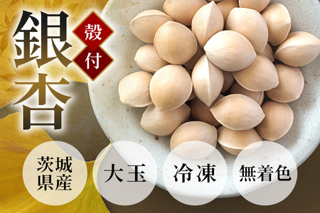 つくば 銀杏 ( ぎんなん ) 大玉 銀杏 殻付 冷凍 500g 農薬不使用 無着色 贈答品 ギフト 高級 旬 食材 食品 国産 冷凍保存 産地直送 送料無料 (A24-003)
