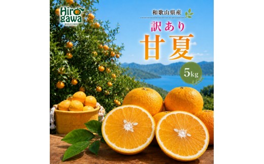 
                  甘夏 訳あり 5kg【hkt023-c-5A】
                