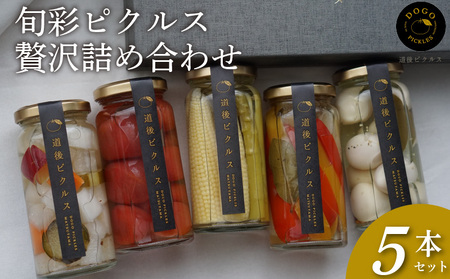 旬彩ピクルス 贅沢詰め合わせ 5本セット | ピクルス 野菜 旬の野菜 季節野菜 ぴくるす セット 詰め合わせ 愛媛県 松山市【DPK002】