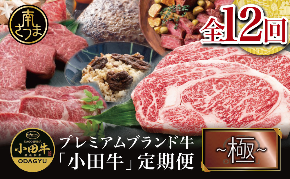 
【全12回 プレミアムブランド和牛「小田牛」定期便 （～極～）】 鹿児島県産 黒毛和牛 ステーキ すき焼き しゃぶしゃぶ ローストビーフ ハンバーグ カレー 総菜 おかず レトルト 冷凍 小田畜産 南さつま市
