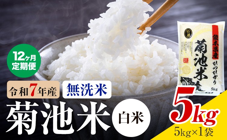 
                  【12ヶ月定期便】 熊本県産 菊池米 白米 無洗米 5kg 1袋5kg 米 お米 令和7年産 九州産 熊本県産 送料無料《お申込み翌月に出荷予定》 白米 米
                
