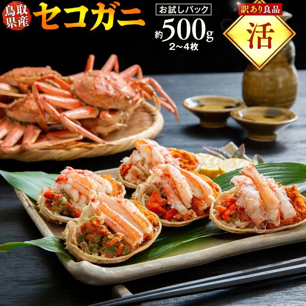 【活】鳥取県産 訳あり 良品セコガニ お試しパック 約500ｇ（2～4枚）| セコガニ 訳あり活 足1本  不揃い お試し  ※2026/11/6～2026/12/29に順次発送予定 ※着日指定不可  離島不可（北海道、沖縄本島は配送可能）
