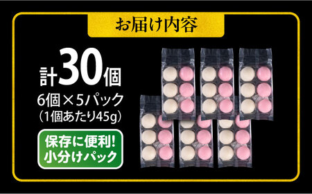 【訳あり】丸餅 6個入り×5パック 30個入り 大容量 もち 餅 【有限会社さかくら総本家】[AKEI005]