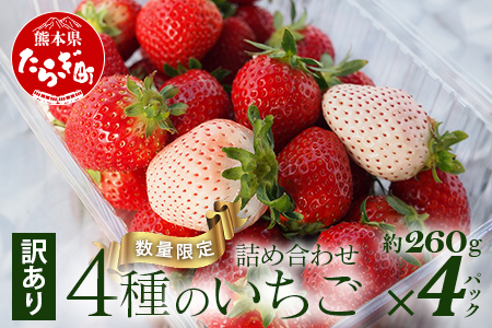 先行予約【訳あり】熊本県産いちご 詰め合わせ 約260g×4パック 産地直送 国産 新鮮 フレッシュ 果物 苺 イチゴ フルーツ 103-0010