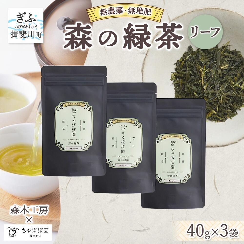 【ふるさと納税】森本工房 森の緑茶 リーフ 40g 3袋 お茶 茶 緑茶 日本茶 茶葉 煎茶 国産 日本産 岐阜県産 香り豊か うまみ 香り 急須 ホット アイス すっきり 甘み 苦味 お好み 一番茶 ちゃぼぼ園 日本のマチュピチュ お取り寄せ 送料無料 岐阜県 揖斐川市