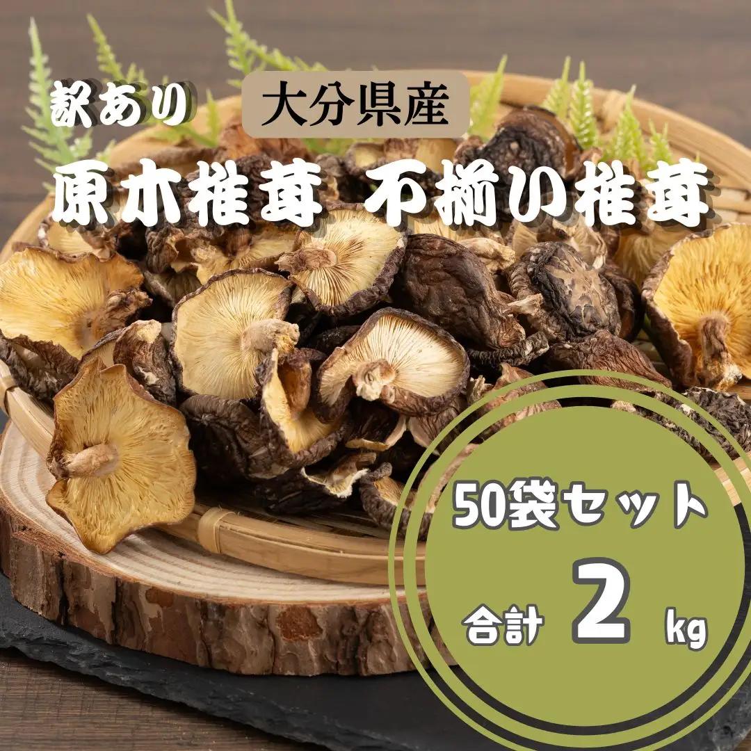 【訳あり】原木椎茸 不揃い 椎茸 50袋 | 津久見市