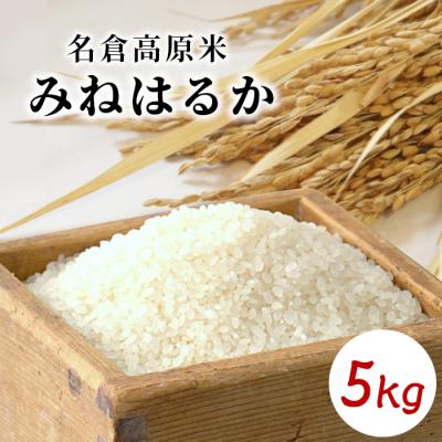 ふるさと納税 設楽町 令和7年度産 名倉高原米「みねはるか」5kg 米 お米 白米 ごはん