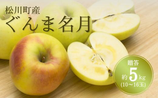 
            KR14-25A りんご ぐんま名月 贈答 約5kg（10～16玉） / 11月上旬頃～配送予定 // 長野県 南信州 リンゴ 林檎 ギフト 名月 農家直送 農家支援 産地直送
          