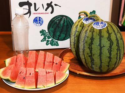 【先行受付：2026年7月発送】信州波田産 小玉スイカ ！信州の小粋 【極上】 2玉 2Sサイズ｜ふるさと納税 長野県 信州 松本 果物 フルーツ すいか スイカ