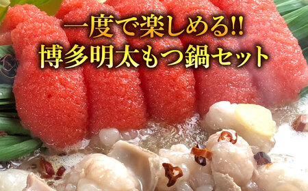 博多 明太醤油もつ鍋セット 4-6人前[BGAF011] めんたいチューブ