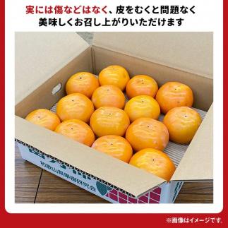 【2025年11月上旬以降発送】◆先行予約◆和歌山県産 富有柿＜ご家庭用＞約7.5kg 満杯詰め［MG2］