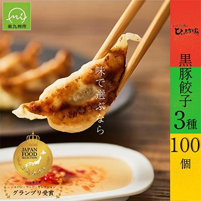 ふるさと納税 南九州市 ひぃ坊家の黒豚餃子3種100個 (タレ付)