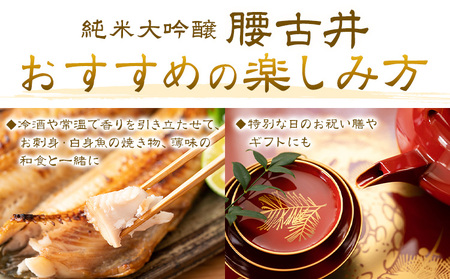 日本酒 腰古井 純米大吟醸 1.8L 1本 有限会社 滝口商店《30日以内に出荷予定(土日祝除く)》千葉県 勝浦市 日本酒 酒 純米 大吟醸