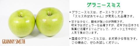 りんご グラニースミス 特選 5kg やまじゅうファーム 沖縄県への配送不可 2024年12月中旬頃から2025年1月下旬頃まで順次発送予定 令和6年度収穫分 減農薬栽培 長野県 飯綱町 [0531]