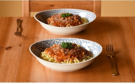 【波佐見焼】natural69カレーパスタ2枚セット ウッズ／ティーズ カレー皿 パスタ皿 北欧 食器 [QA61] 波佐見焼