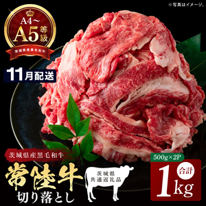 【2026年11月発送予定】最高級A4.A5ランク 常陸牛 切り落し 1kg（約500ｇ×2）【人気肉 お肉 牛肉 和牛 黒毛和牛 国産黒毛和牛 モモ 肩 切り落とし 国産牛 A5 A4 すき焼き 牛丼 ブランド牛】(CR106-11)