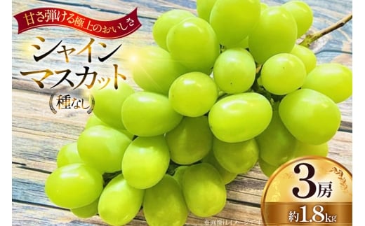【期間限定発送】 シャインマスカット 3房 約1.8kg [Ｈinataぶどう園 山形県 高畠町 tk06ayt190012] フルーツ 果物 くだもの ぶどう ブドウ 葡萄 種なし 1.2キロ 甘い