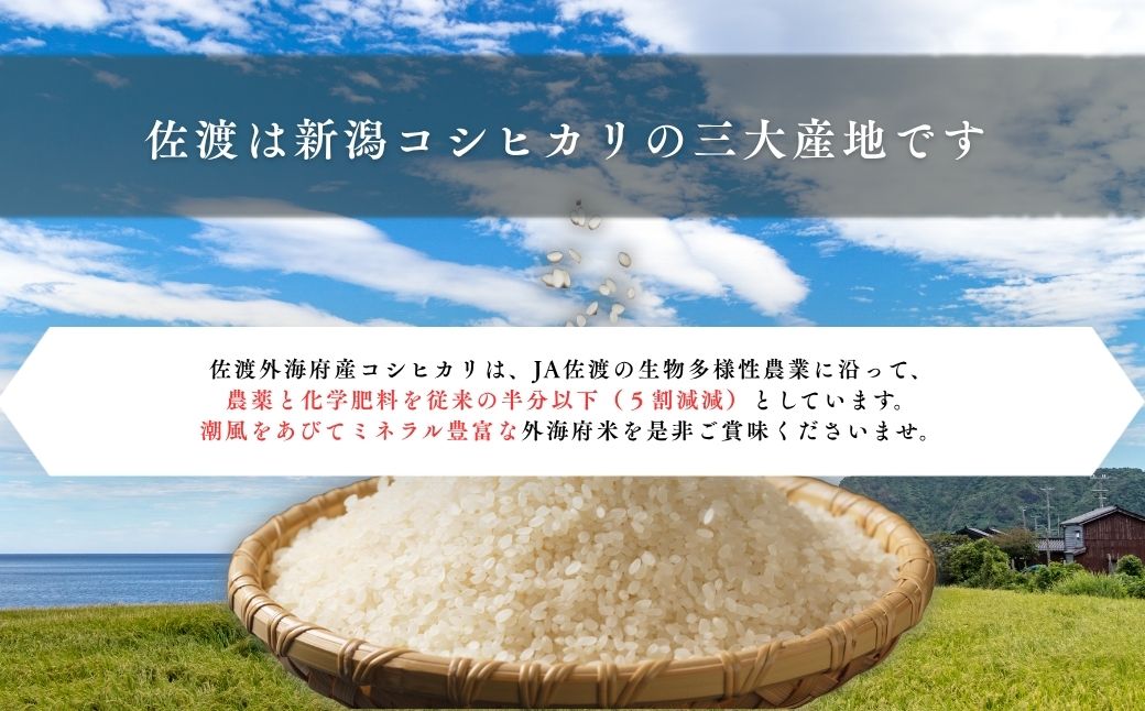 佐渡発酵　佐渡産コシヒカリ精米5kg 【令和7年米】
