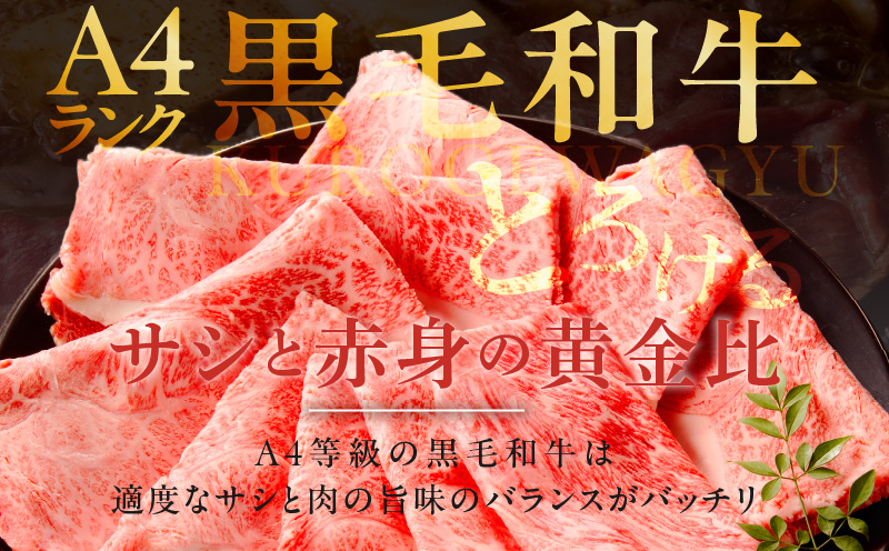 【A4ランク】黒毛和牛 すきしゃぶ用 1kg【氷温熟成×極味付け 500g×2P 小分け 牛肉 スライス すき焼き しゃぶしゃぶ 訳あり 不揃い ファミリー】