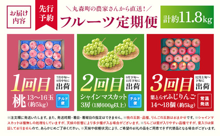 【先行予約】《採れたてを農家直送》 宮城県丸森町産 フルーツ定期便 コース2 （桃・シャインマスカット・りんご）【48008】