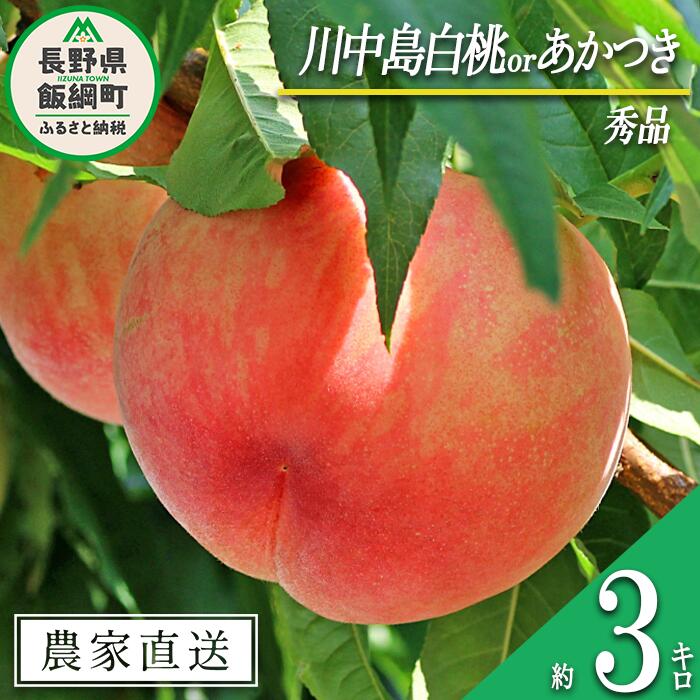 【ふるさと納税】 もも 旬の桃 秀品 約 3kg ( 品種おまかせ ) 永正の地蔵尊神谷農園 配送先は本州限定 令和7年度収穫分 長野県 飯綱町 〔 信州 果物 フルーツ モモ 桃 長野 17000円 予約 農家直送 〕発送時期：2025年8月中旬〜2025年9月上旬