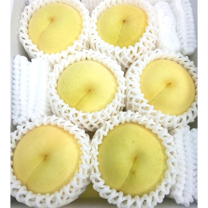 【ふるさと納税】岡山県産 冬桃がたり 6個入り（約1200g） | フルーツ 果物 くだもの 食品 人気 おすすめ 送料無料