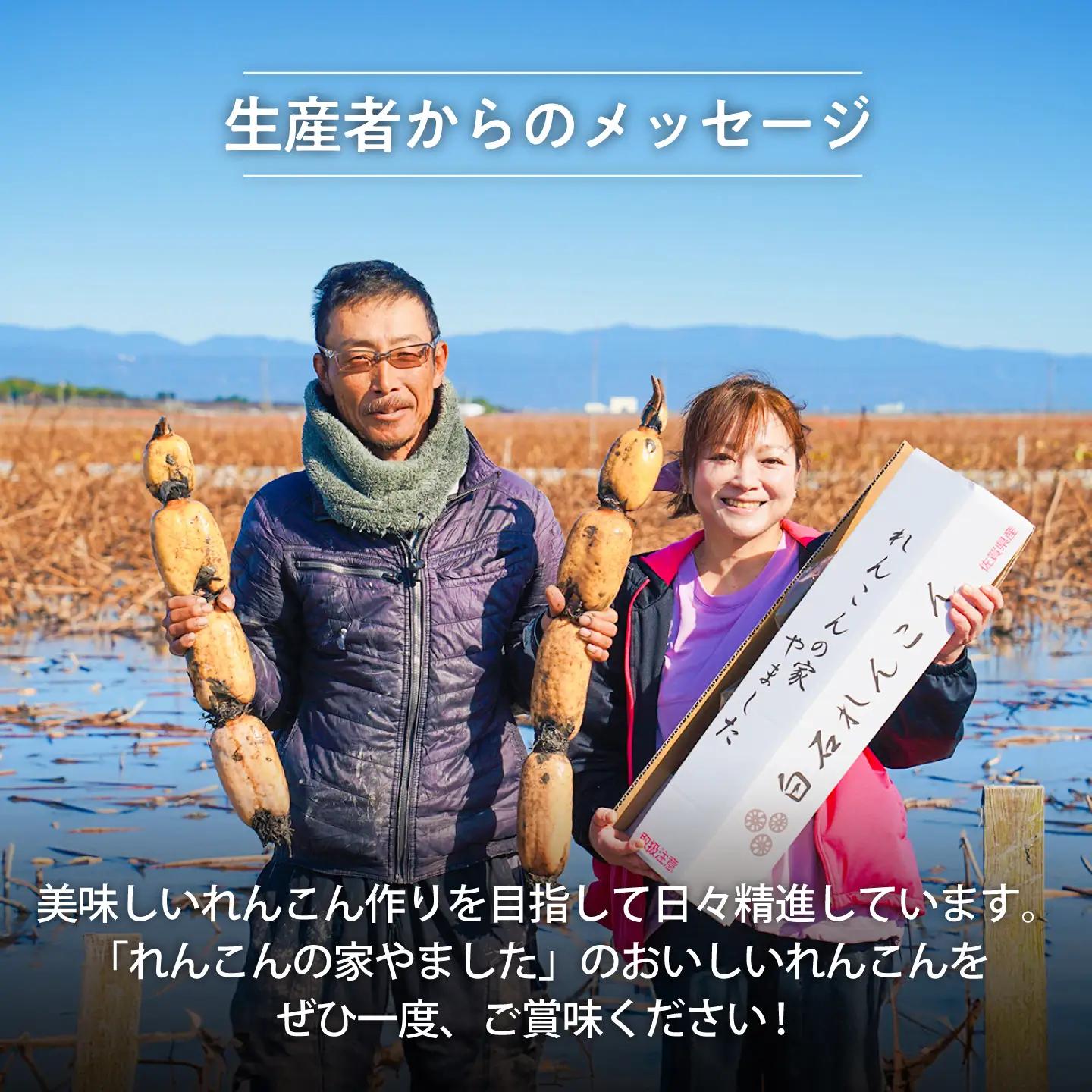 年末発送 泥付きれんこん3kg / れんこん 先行予約  [IAW003]