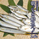 【ふるさと納税】【単月お届け】大和海商の朝どれ鮮魚小魚パック　2.4kg アジ　カマス　イワシ　鱗・内臓処理済　旬　国産　宮崎県延岡市　送料無料