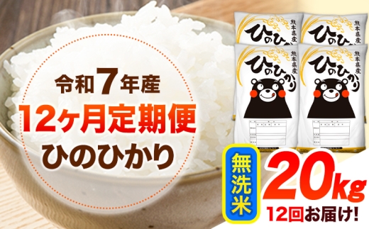 令和7年産【12ヶ月定期便】 無洗米 ひのひかり 20kg 《お申込み翌月から出荷》 熊本県産 無洗米 精米 ひの 送料無料 熊本県 山江村 SDGs 米 コメ こめ 国産