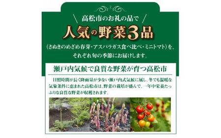 季節のやさい 人気 厳選 高松市 3回 [旬な季節に合計3回発送]定期便D【T006-738】