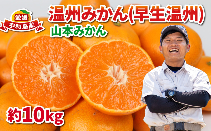 
愛媛 みかん 早生温州 10kg 家庭用 山本みかん 温州みかん 予約受付 早生 温州 蜜柑 果物 フルーツ 柑橘 産地直送 農家直送 数量限定 国産 宇和島 B012-038010
