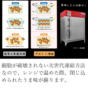 【訳あり】 うなぎ おこわ おまかせ3種 12個 蒲焼 白焼き 刻み蒲焼 京都鰻割烹まえはら監修 愛知県三河一色産 ミシュラン 一つ星 小分け 冷凍 ( うなぎ 蒲焼 うなぎ 蒲焼 うなぎ 蒲焼 うな