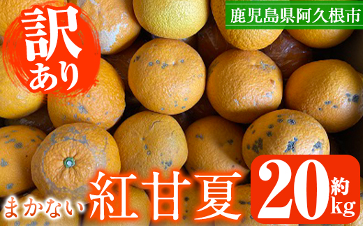 ＜先行予約受付中！2025年3月中旬以降順次発送予定＞訳あり！鹿児島県産まかない紅甘夏(約20kg)国産 鹿児島産 柑橘 訳アリ 果物 フルーツ 旬【三笠農業生産】a-12-138-z