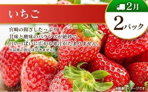 【偶数月 6回定期便】旬 人気 フルーツ 南国宮崎産 マンゴー シャインマスカット いちご 日向夏 梨 みかん 柑橘 ぶどう 果物 詰め合わせ 宮崎県 九州＜B-2コース M220＞
