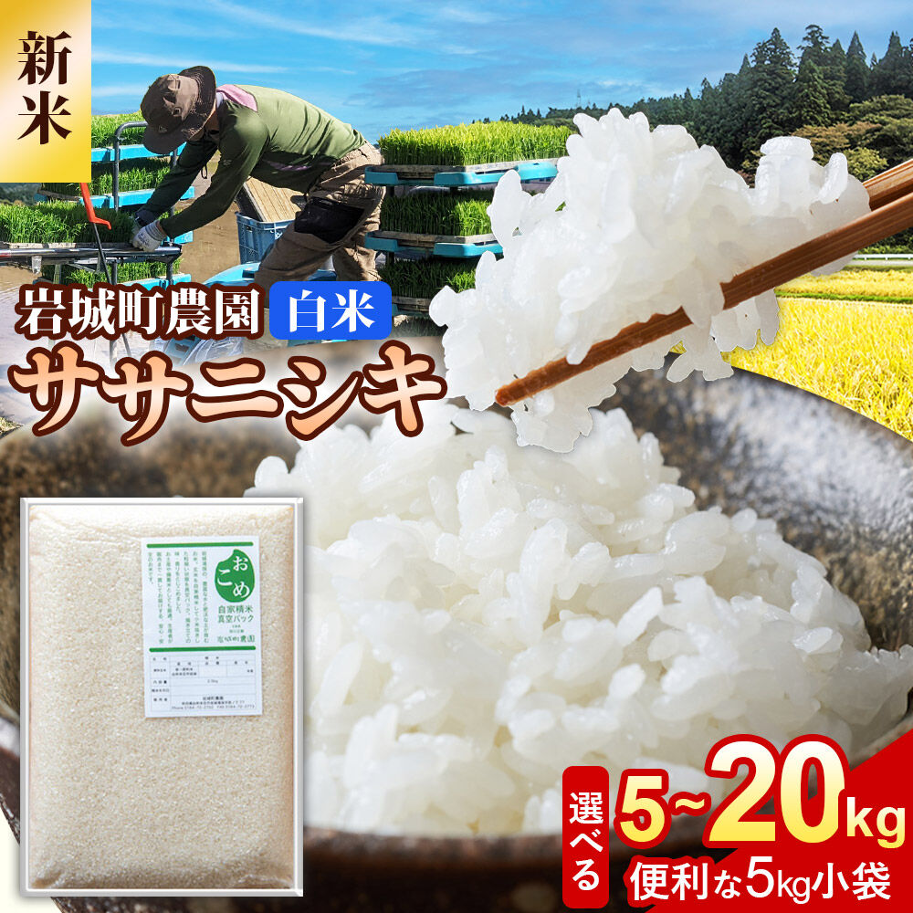 【ふるさと納税】《令和8年産 新米》【白米】ササニシキ【選べる 容量：5kg／10kg／15kg／20kg】秋田県 由利本荘市産 真空パック 岩城町農園 [新米 米 お米 精米 秋田県産 ササニシキ 白米 ブランド米 食卓 おにぎり 秋田県産 秋田]