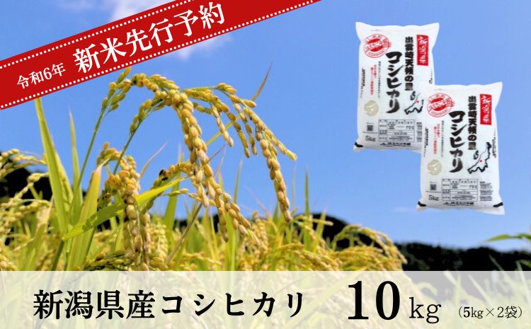 【先行予約】 新米 新潟県産 コシヒカリ 10㎏ (10月以降発送予定) 出雲崎町産 「天領の里」 令和6年産 白米 精米 お米 こしひかり