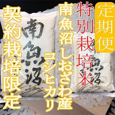 ふるさと納税 南魚沼市 【発送月固定定期便】※特別栽培米8Kg※生産者限定 南魚沼しおざわ産コシヒカリ全3回 |  | 03