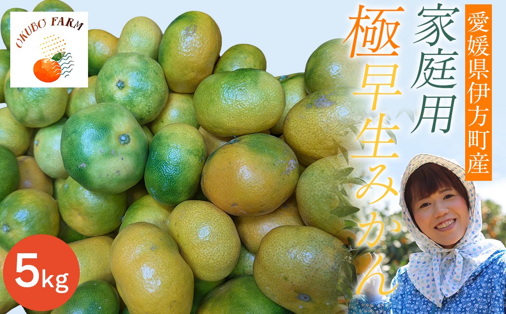
                  【先行予約】家庭用　極早生みかん５㎏【 ふるさと納税 人気 おすすめ ランキング 柑橘 みかん ミカン フルーツ ジュース みかんジュース ミカンジュース オレンジジュース 清見 温州みかん 果物 OKUBO FARM 愛媛県 伊方町 送料無料 】IKTAT014
                