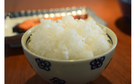 令和7年産 きぬむすめ5kg×2 無洗米 