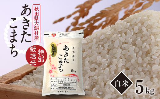 令和6年産　特別栽培米あきたこまち(白米)5kg【配送不可地域：離島・沖縄県】