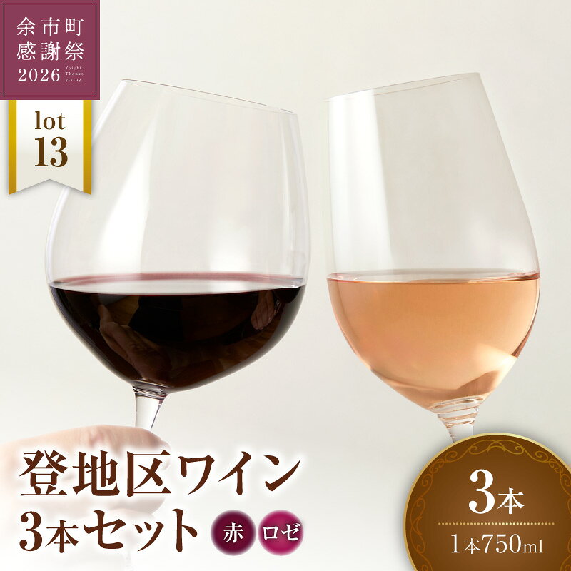 【ふるさと納税】【余市町感謝祭2026】26lot13 登地区ワイン(6)3本セット