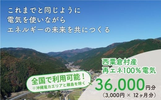 
電気料金 （3,000円✕12ヶ月分） 百森でんき CO2フリー 地域電力 お礼の電気 脱炭素 ゼロカーボン 岡山県 西粟倉村 【まずは寄付のお申し込みを！】 e-vv-A03D
