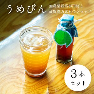 【３本セット】濃厚梅エキスと漢方のシロップ「うめびん（杉田梅） by Kampo Kitchen」【 家庭用 自宅用 贈答品 贈答用 ギフト お取り寄せ お中元 お歳暮 贈り物 お祝い 神奈川県 小田原市 梅 梅】