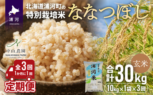 
                  浦河の特別栽培米「ななつぼし」玄米(10kg×1袋)定期便(全3回)[37-1055]
                