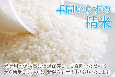 令和8年産・新米 コシヒカリ 10kg（精米） [B-11302_03]