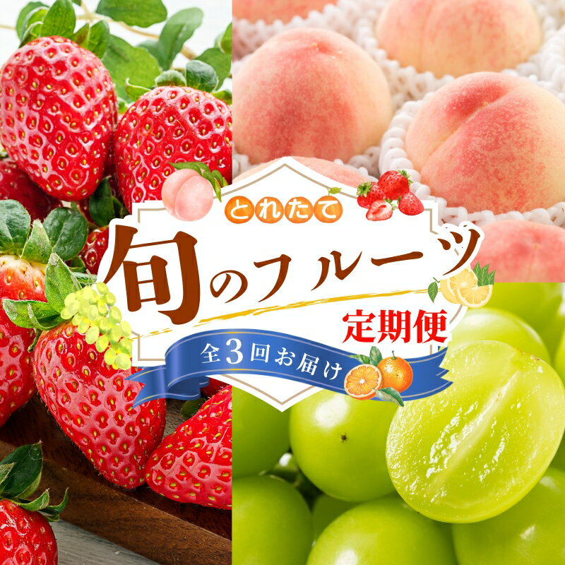 【ふるさと納税】 【フルーツ定期便・全3回】品質に自信あり！くしがきの里から直送　桃・シャインマスカット・まりひめを季節ごとにお届け♪ / 定期便 桃 もも シャインマスカット マスカット いちご イチゴ 苺 果物 フルーツ 3回
