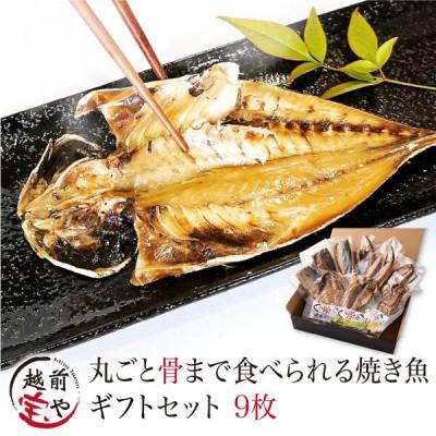ふるさと納税 福井市 丸ごと骨まで食べられる焼き魚 ( 塩干し 醤油干し 燻製 )9枚/ さんま あじ さば
